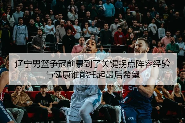 辽宁男篮争冠前景到了关键拐点阵容经验与健康谁能托起最后希望